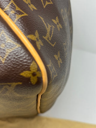 LOUIS VUITTON Monogram Delightful PM Handbag