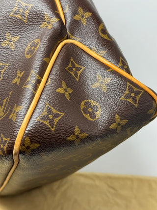 LOUIS VUITTON Monogram Delightful PM Handbag