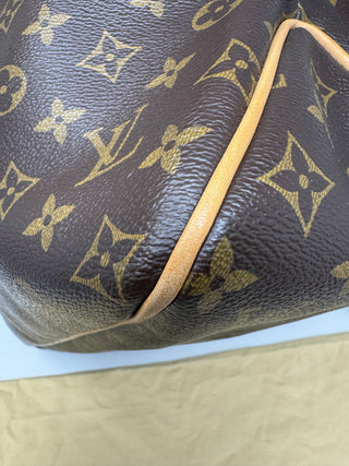 LOUIS VUITTON Monogram Delightful PM Handbag